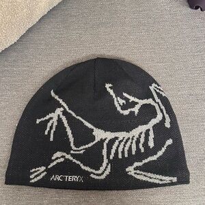 Arc'teryx bird head toque